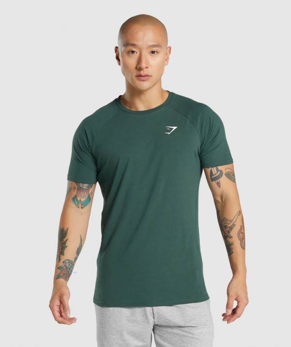 Panske Tricka Gymshark Critical 2.0 Tmavo Zelene | CF0893254